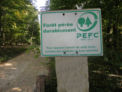 PEFC gecertificeerde grenen vloeren